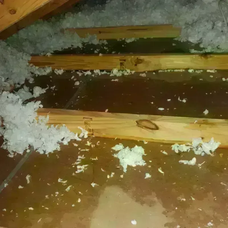 Attic Water Damage in Sheridan County, NE