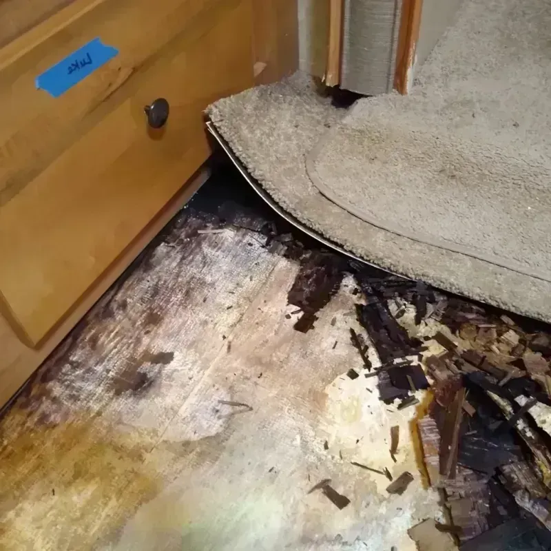 Wood Floor Water Damage in Sheridan County, NE